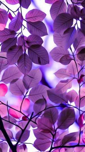 4K Purple Wallpaper