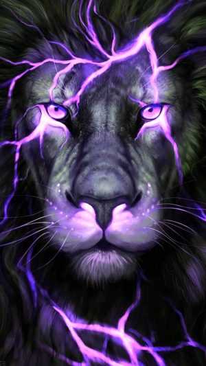 Purple Background