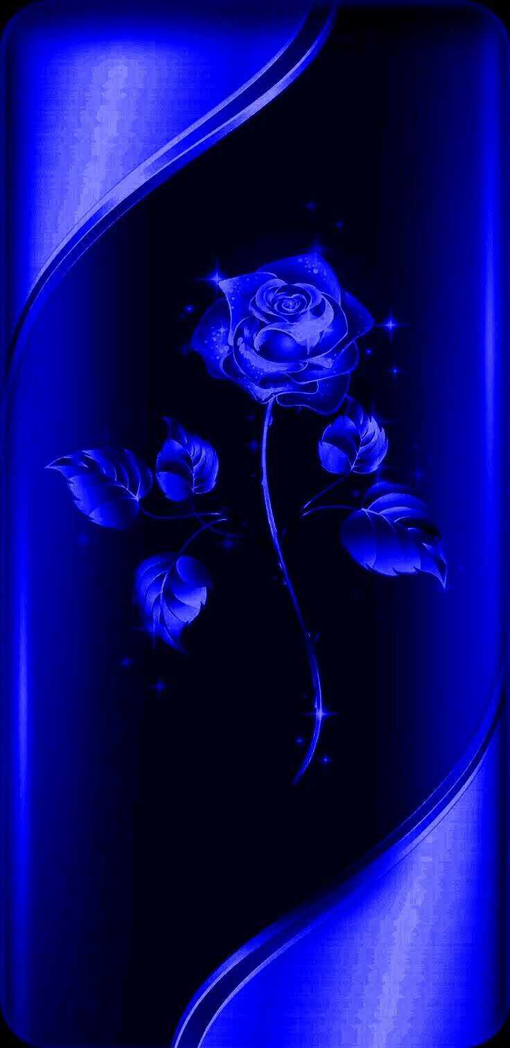 Blue Rose Wallpaper 4K : Hd Wallpaper Blue Rose Flowers Minimalism
