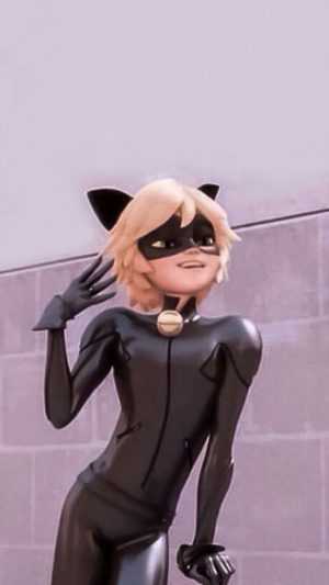 Cat Noir Background 