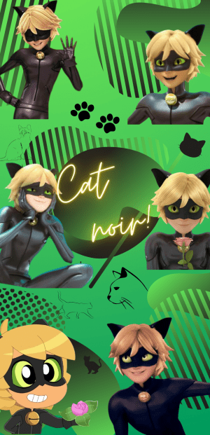 Cat Noir Background