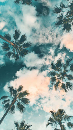 HD Summer Wallpaper 