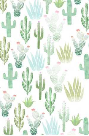 Cactus Background 