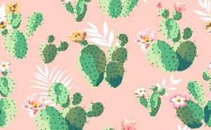 Cactus Desktop Wallpaper