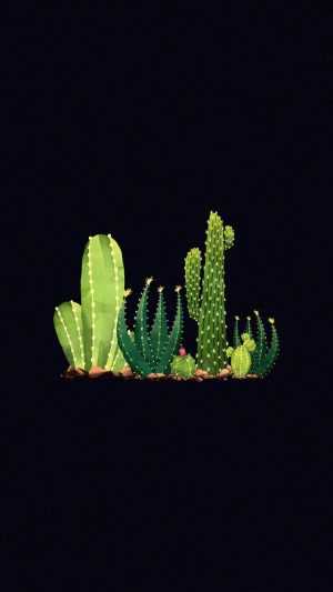 Cactus Wallpaper