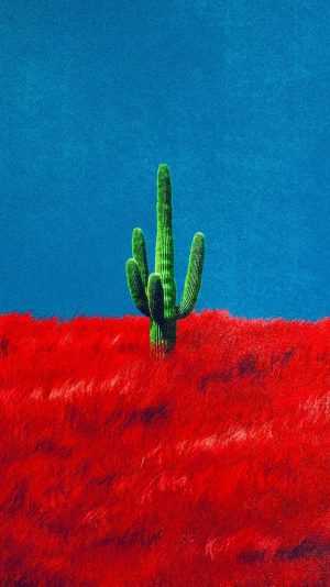 HD Cactus Wallpaper