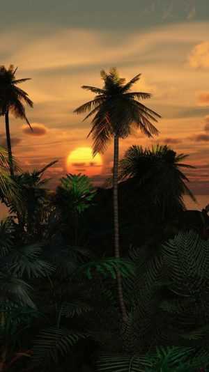 HD Tropical Wallpaper