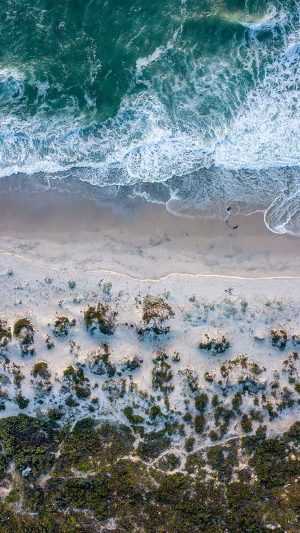 Summer Background