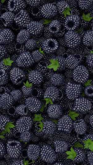 Fruit Wallpaper