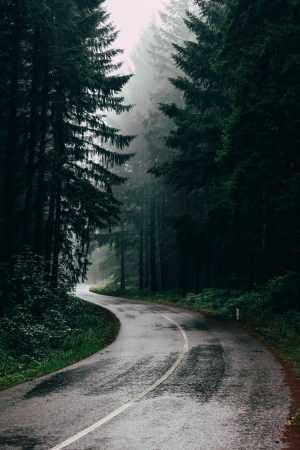 4K Rain Wallpaper
