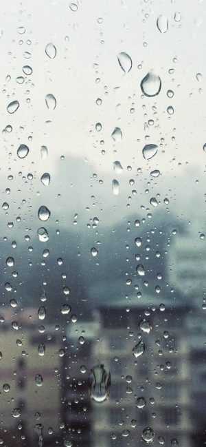 Rain Wallpaper 