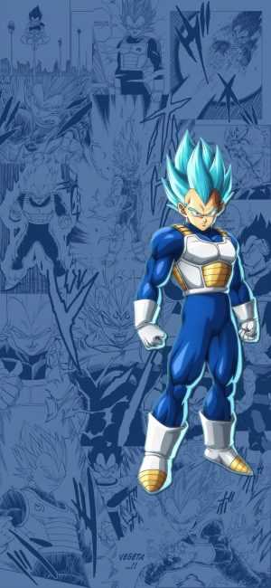 HD Vegeta Wallpaper 