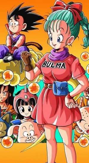 HD Bulma Wallpaper 