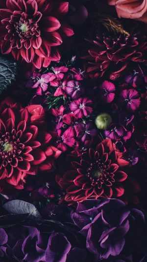 HD Flowers Wallpaper