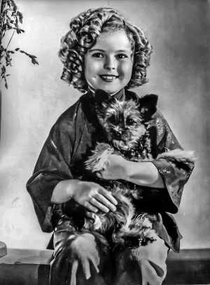 HD Shirley Temple Wallpaper