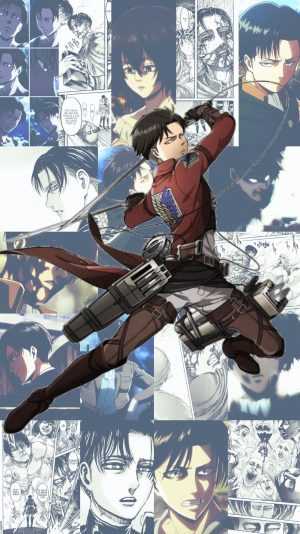 Levi  Ackerman Background