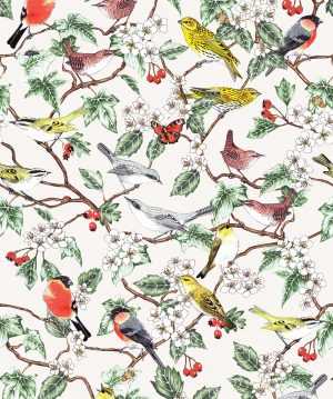 HD Bird Wallpaper