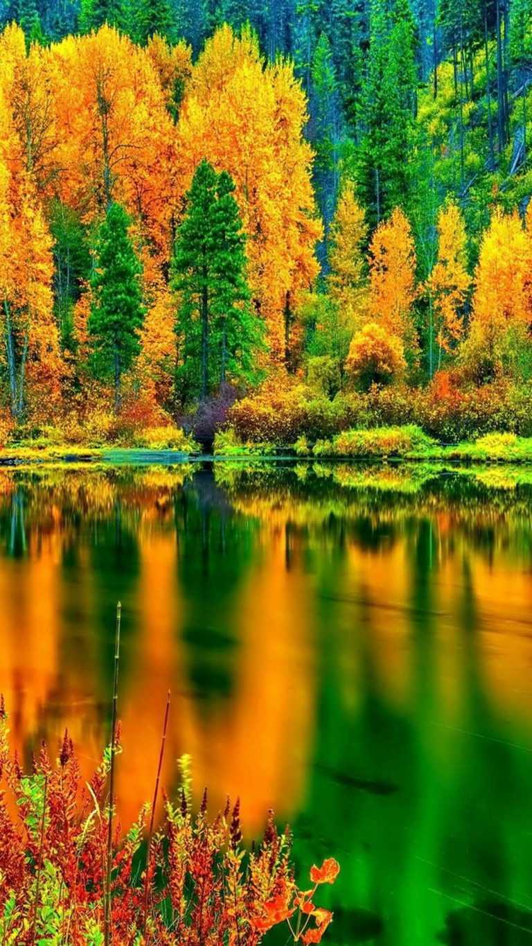 4K Fall Wallpaper WhatsPaper