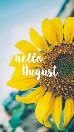 4K August Wallpaper 