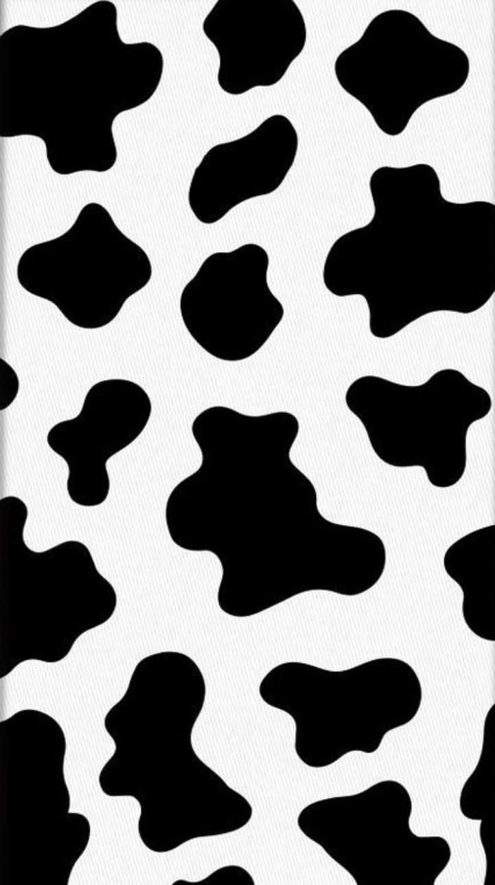 Cow Print Wallpaper Whatspaper