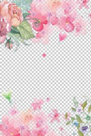 Flowers Png Wallpaper
