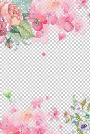 Flowers Png Wallpaper 