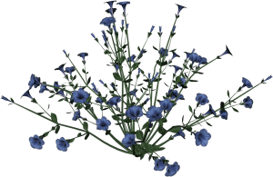 Desktop Flowers Png Wallpaper