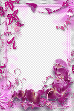 4K Flowers Png Wallpaper