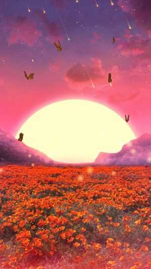 Love Wallpaper 