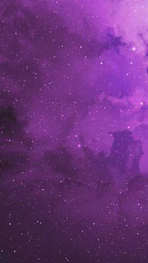 Purple Wallpaper 