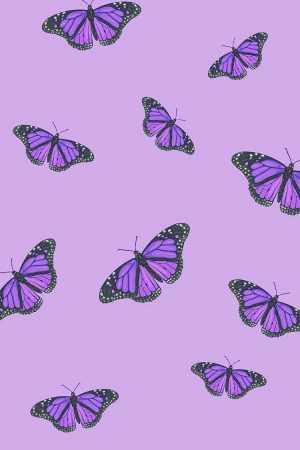 Purple Wallpaper