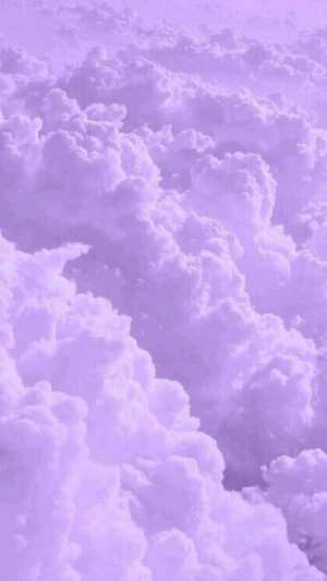 Purple Wallpaper 