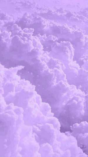 Purple Wallpaper