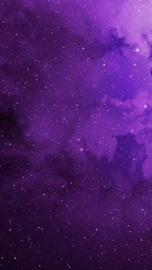 Purple Wallpaper 