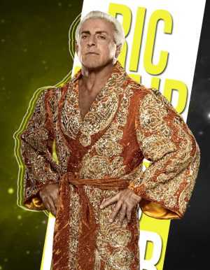 4K Ric Flair Wallpaper 