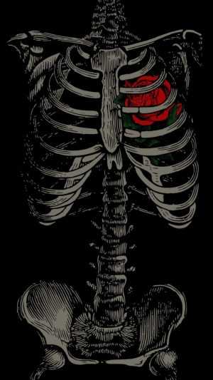 Skeleton Background