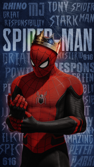 Spider Man Wallpaper 