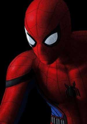 Spider Man Wallpaper