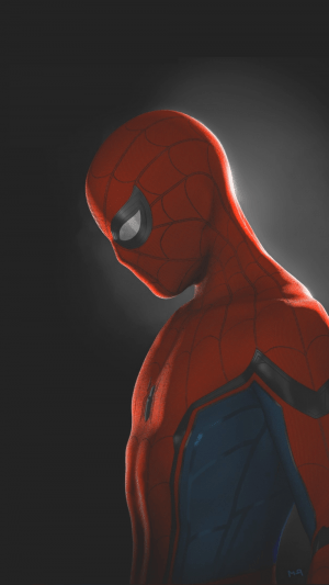 Spider Man Wallpaper 