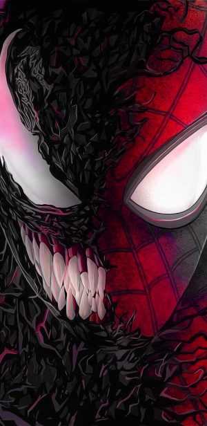 Spider Man Wallpaper 