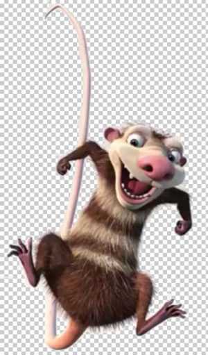 Weasel Wallpaper 