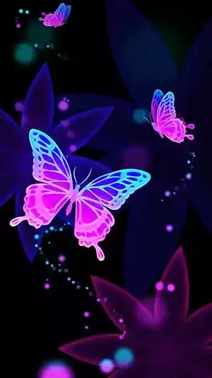 Butterfly Wallpaper