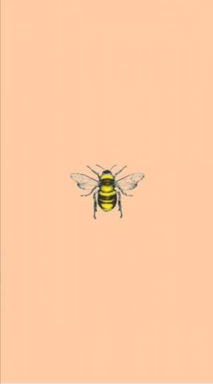 Bee Wallpaper 