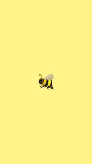 4K Bee Wallpaper 