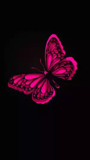 Butterfly Wallpaper 