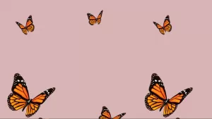 Desktop Butterfly Wallpaper