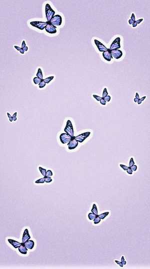 Butterfly Wallpaper 