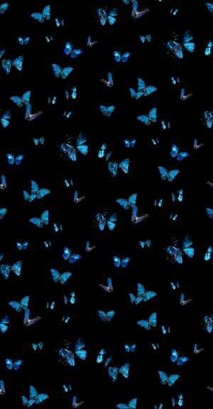 Butterfly Background 