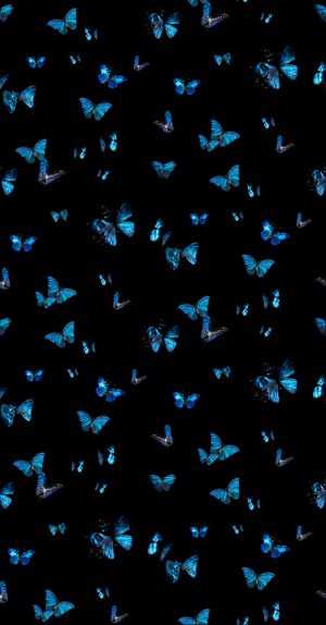 Butterfly Background