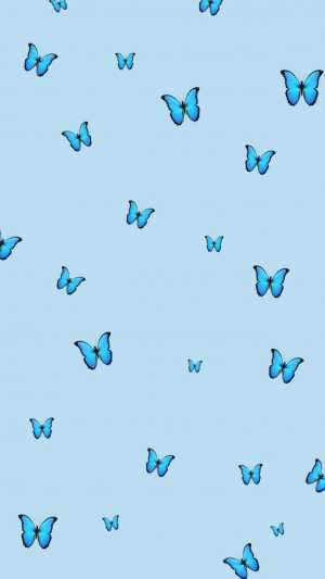 Butterfly Background 